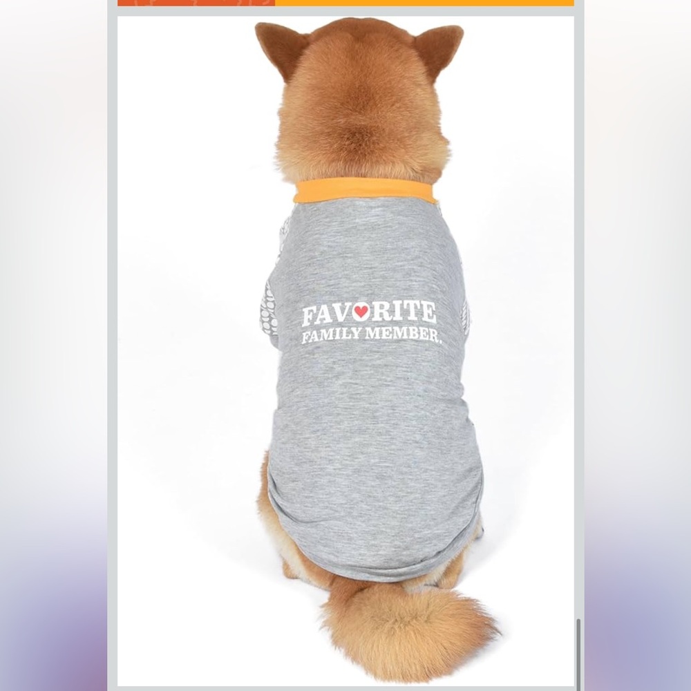 The Dodo ‘Favorite Family Member' Grey Dog T-Shirt with Yellow Trim Size L - Picture 4 of 12